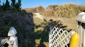 Un sendero atraviesa un área natural con vegetación densa y una cerca blanca.