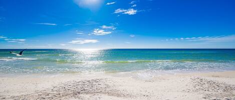 Condo, 2 Bedrooms | Beach | On the beach