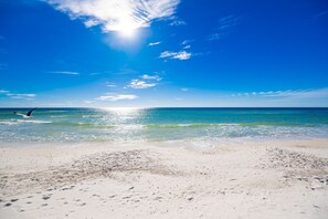 Condo, 2 Bedrooms | Beach | On the beach