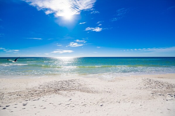 Condo, 2 Bedrooms | Beach | On the beach