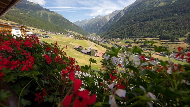 Eine gebirgige Landschaft mit einem Dorf, Gebäuden und roten Blumen im Vordergrund.