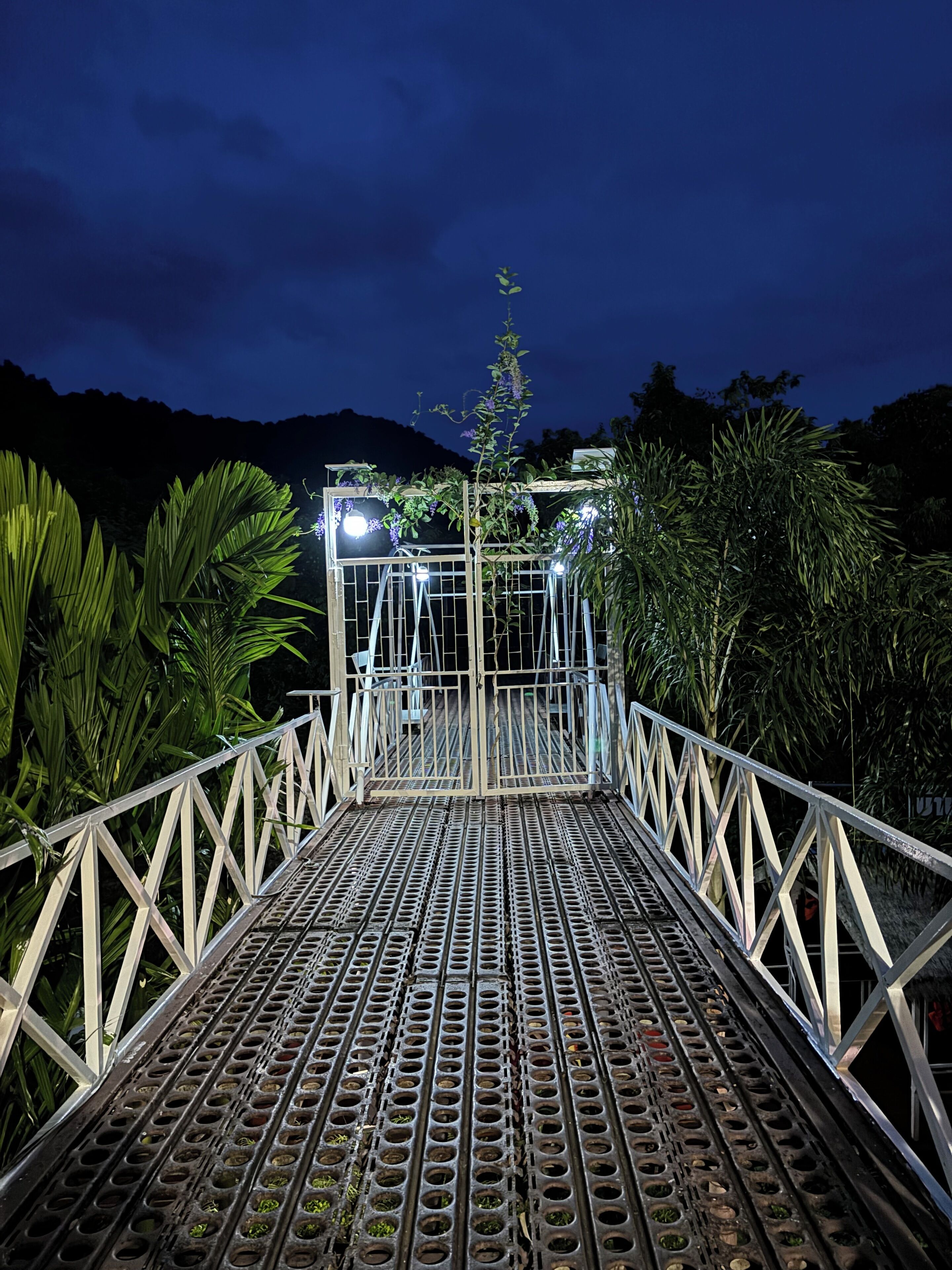 Un pont métallique à structure en treillis, doté de garde-corps blancs, et entouré de verdure.