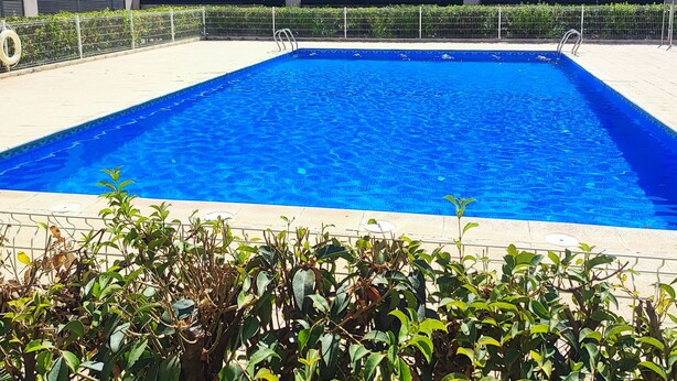 A rectangular swimming pool with a metal ladder, surrounded by a metal fence and greenery.