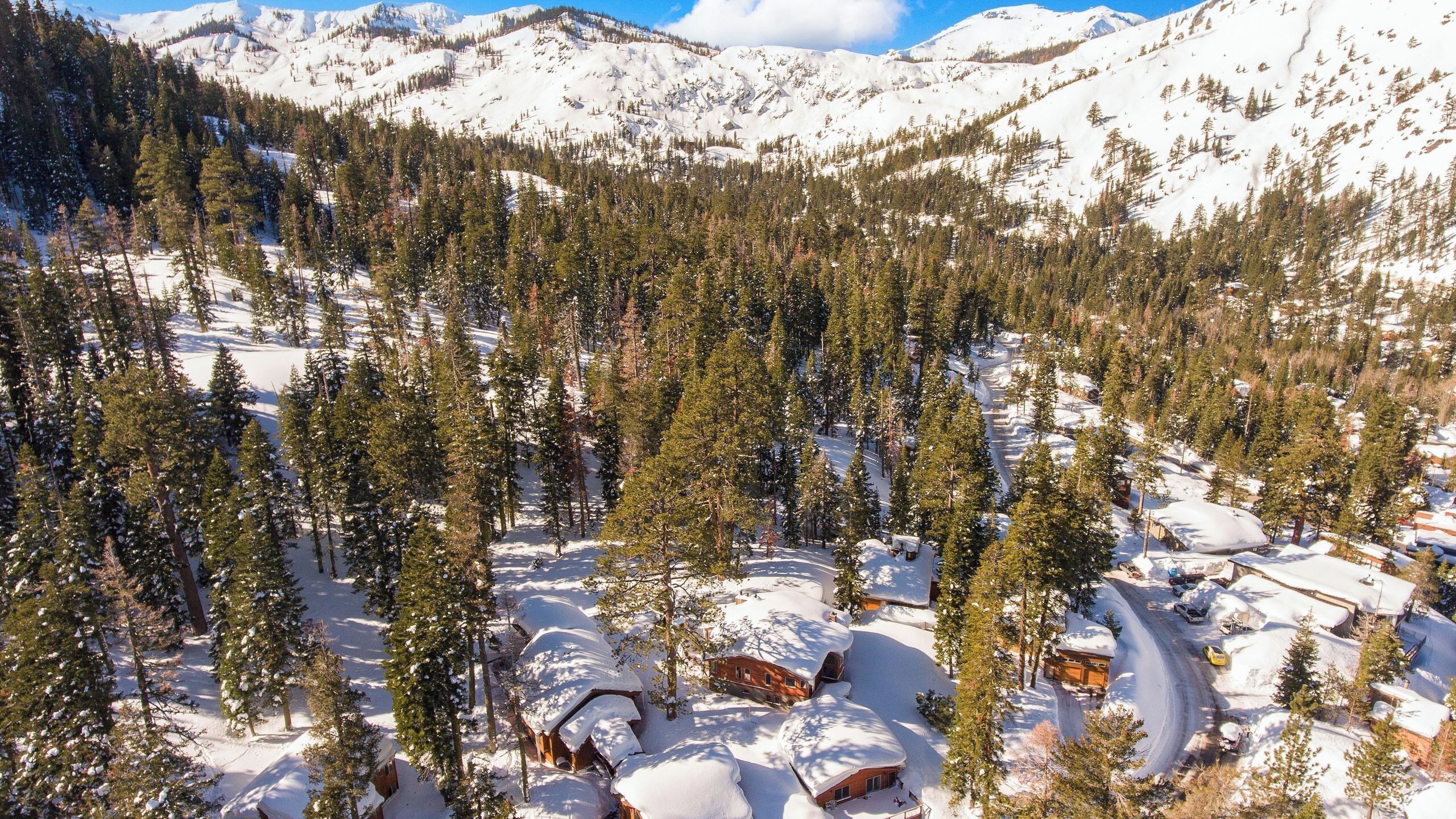 A snow-covered forest with cabins and a mountain backdrop.