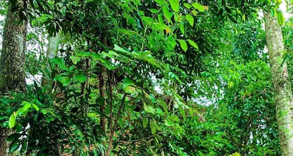 Pu Luong Jungle Lodge