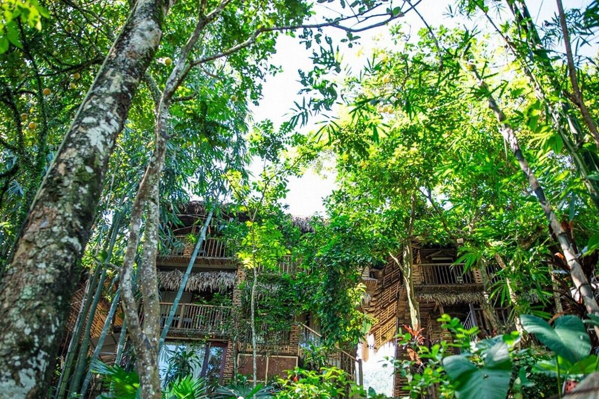 A traditional wooden structure surrounded by lush greenery, with a stone staircase leading up to it.