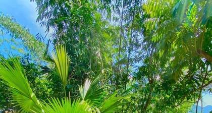 Pu Luong Jungle Lodge