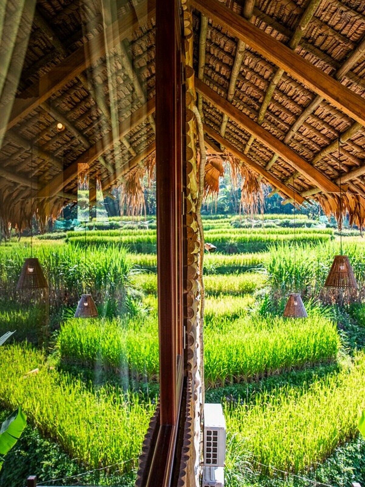 A traditional thatched-roof structure with a view of lush green rice fields outside.