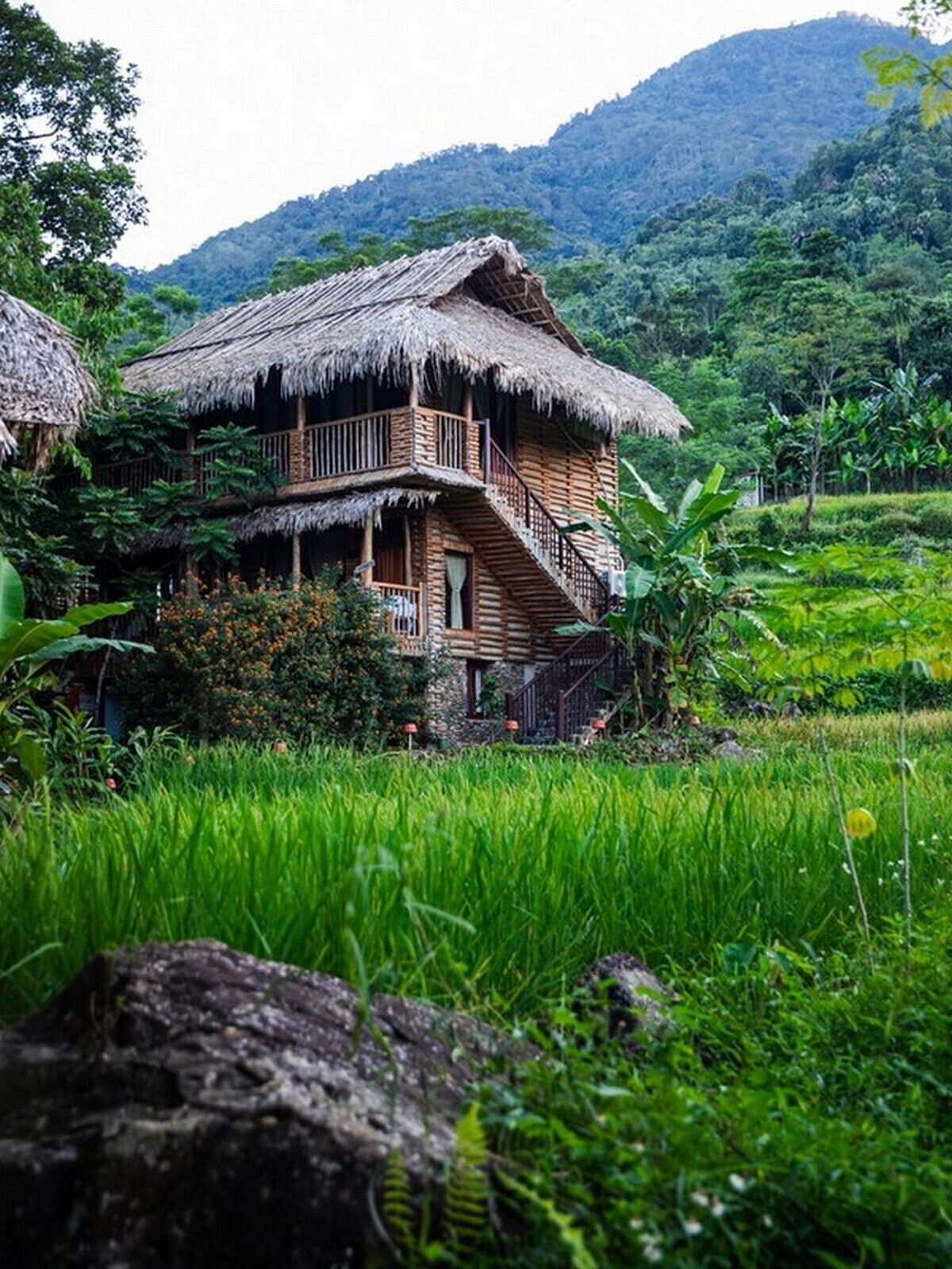 Garden view
