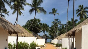 Unclassified image, 3 of 16, button - The Blue Lagoon Resort (Kudawa)