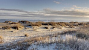 A beach with sand dunes and sparse vegetation.
