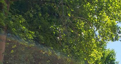 Ferienwohnung Alte Schule Friedrich Fröbel