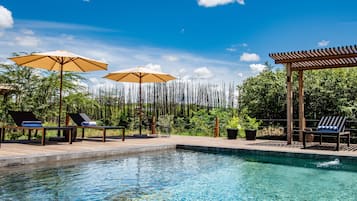 Outdoor pool, pool umbrellas, pool loungers