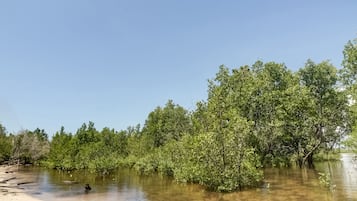 Jardín
