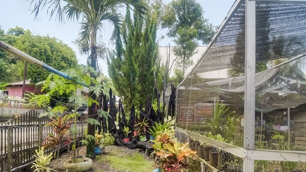 A garden area with a sign reading "TAMAN HIAS" surrounded by potted plants and a fence. - OYO Homes 91148 Homesstay Desa Wisata Bahoi Near Ekowisata Mangrove Desa Bahoi (Bahoi)