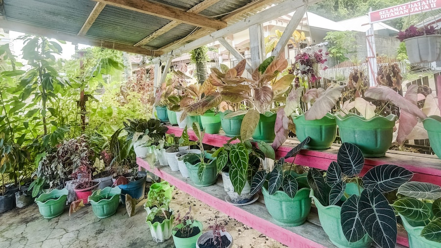 OYO Homes 91148 Homesstay Desa Wisata Bahoi Near Ekowisata Mangrove Desa Bahoi