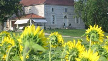 Terrein van de accommodatie
