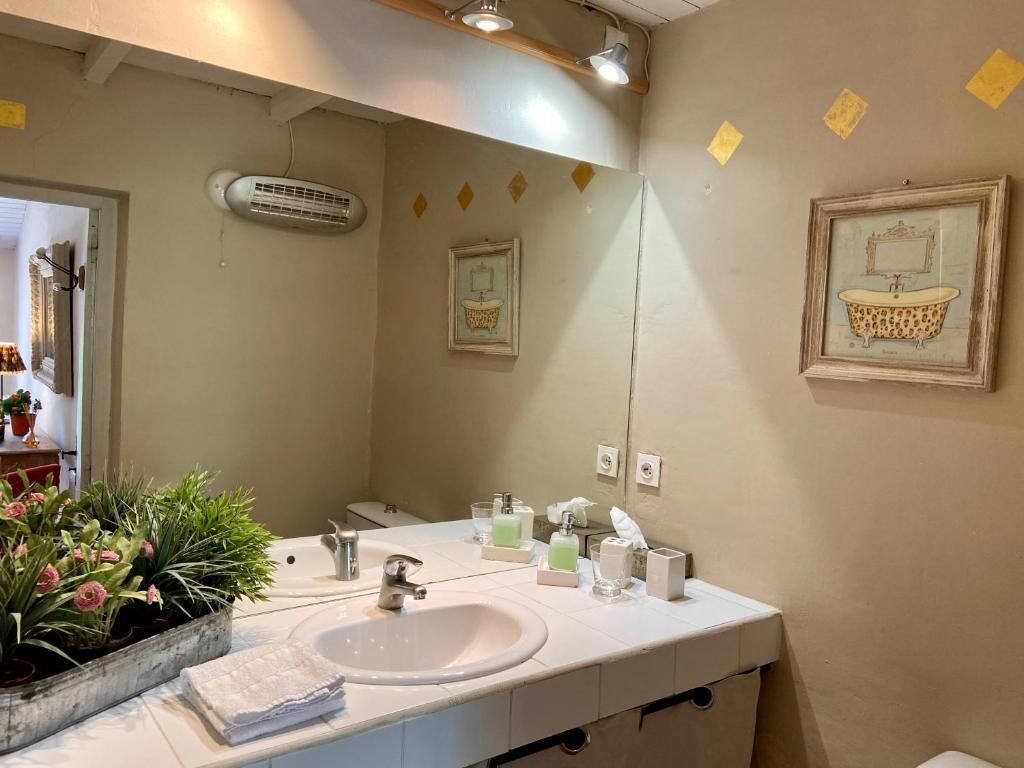 Une salle de bain avec un lavabo, un miroir et des plantes en pot.