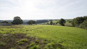 A grassy field with trees and a stone wall.