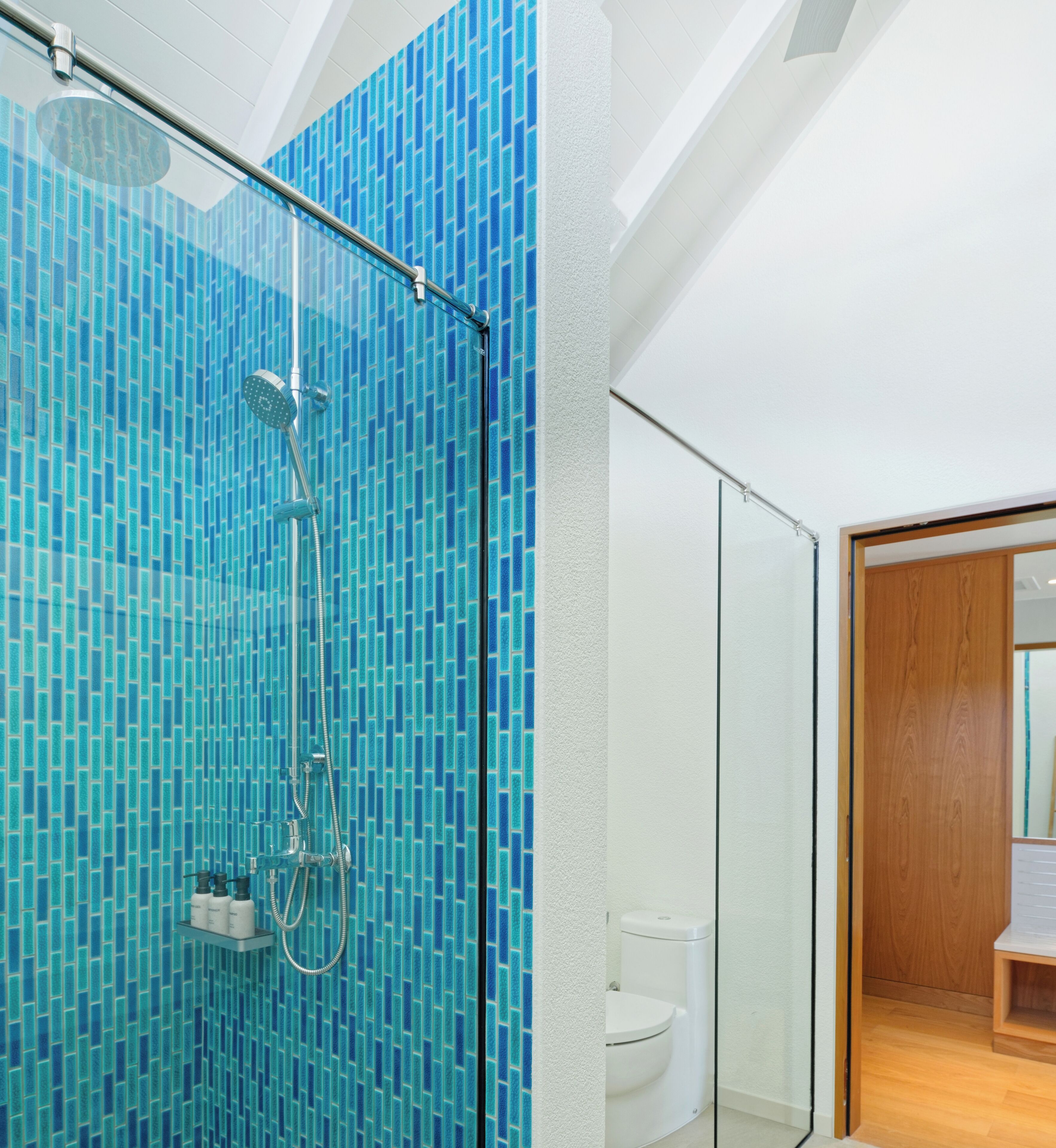 Un baño con cabina de ducha de vidrio, inodoro blanco y puerta de madera.