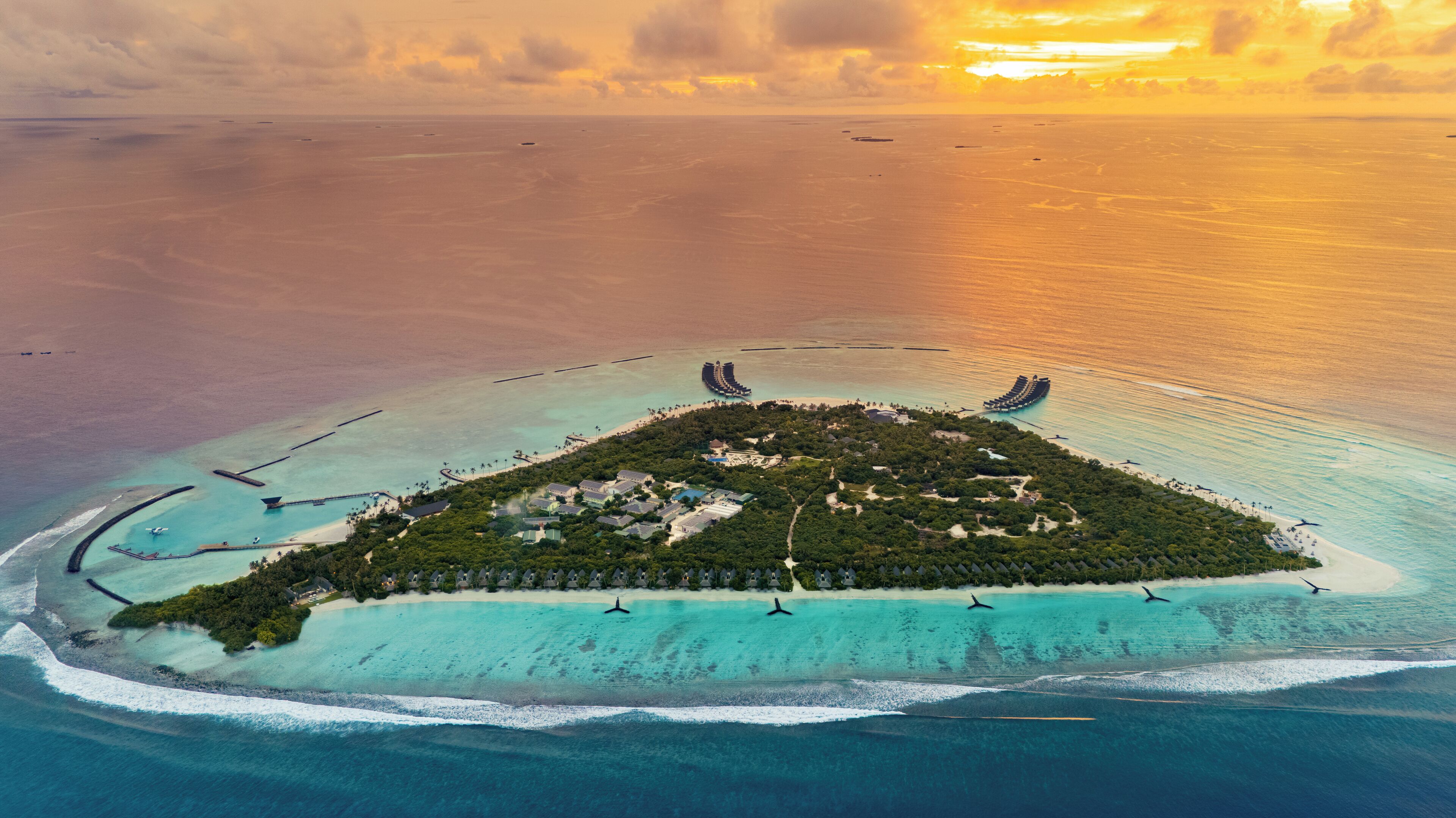 Vue aérienne d’un complexe hôtelier tropical situé sur une île, avec un bâtiment central entouré d’une végétation luxuriante et bordé par des eaux turquoise.