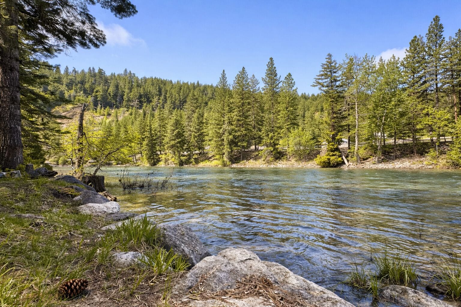 A river surrounded by dense forest and rocky terrain.