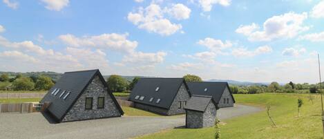 A row of three stone-roofed cottages with skylights, set in a grassy field with a clear sky.
