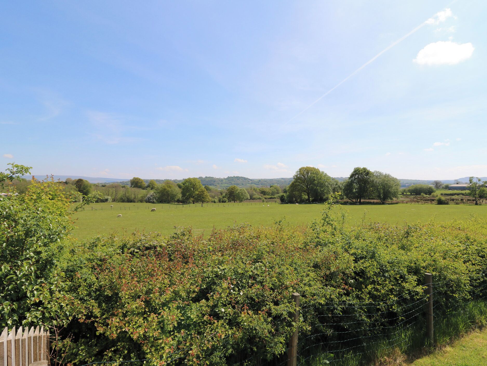 Ländliche Landschaft mit einem großen Feld, Bäumen und einem Zaun.