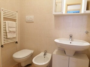 Shower, hair dryer, bidet, towels