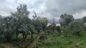 Un jardín exuberante con varios árboles y plantas, un sendero y una valla.