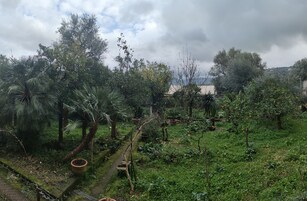 Camera Deluxe (Rubino/Smeraldo) | Minibar, in-room safe, desk, soundproofing