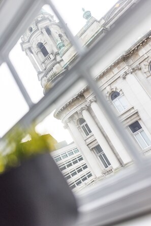 Vista desde la propiedad