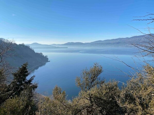 A panoramic view of a lake surrounded by mountains and trees.