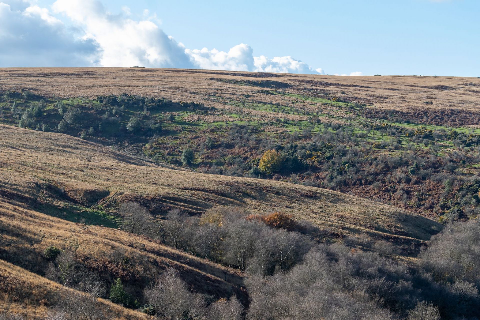 Un paysage vallonné, avec une végétation variée et un ciel dégagé.