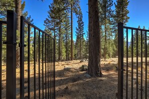 Property grounds - Fully Remodeled Tahoe Retreat with Game Room and Hot Tub (South Lake Tahoe)