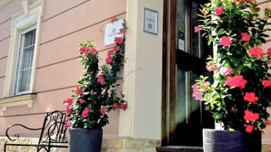 Un edificio con un cartello che riporta 'AMADEA HOTEL'. Due grandi piante in vaso con fiori rosa si trovano davanti all'ingresso.