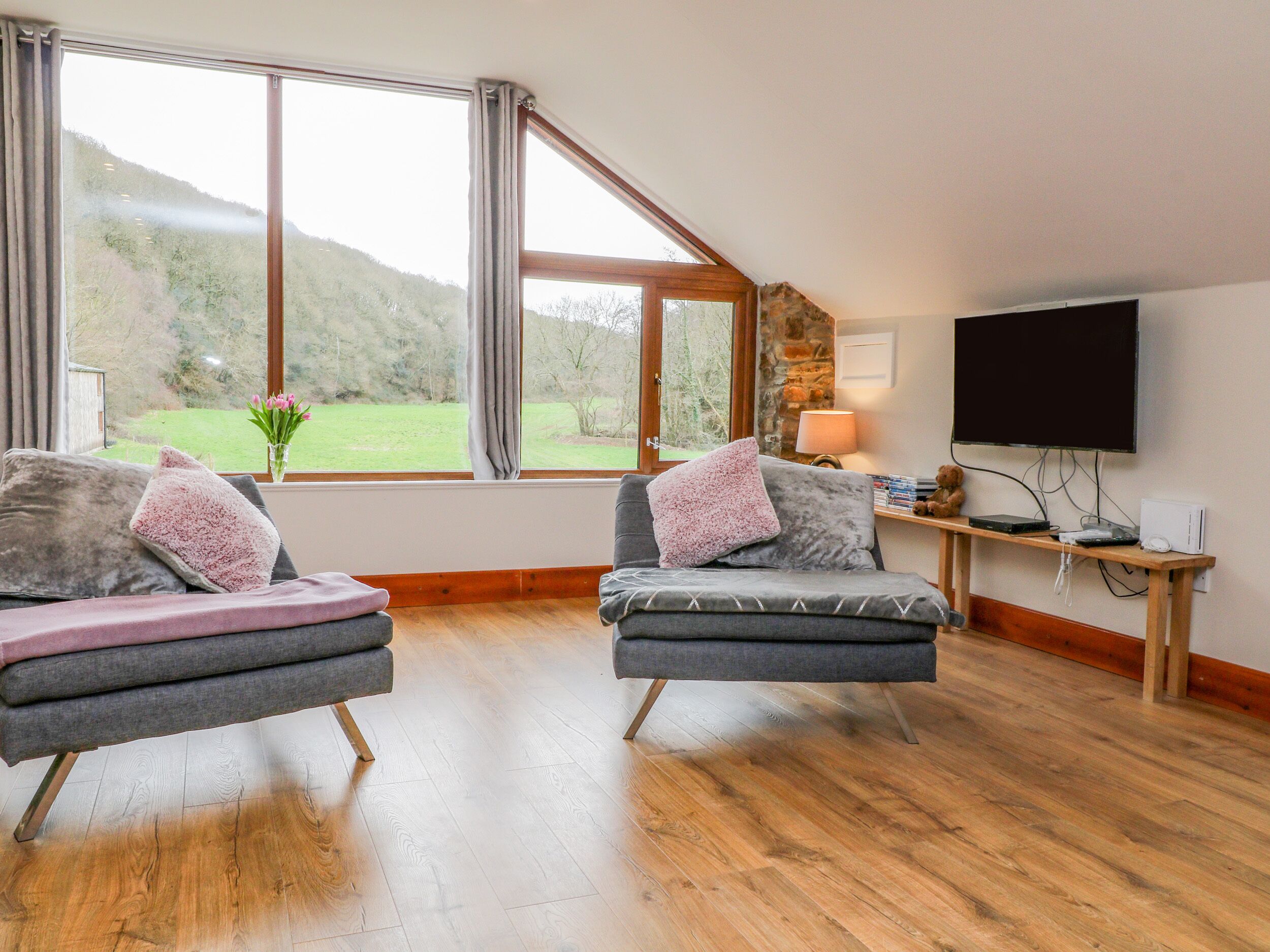 游戏机、DVD 播放器