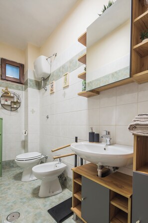 Hair dryer, bidet, towels, soap