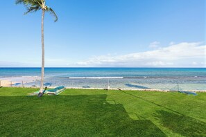A grassy area with a palm tree, a beach, and a clear blue sky.