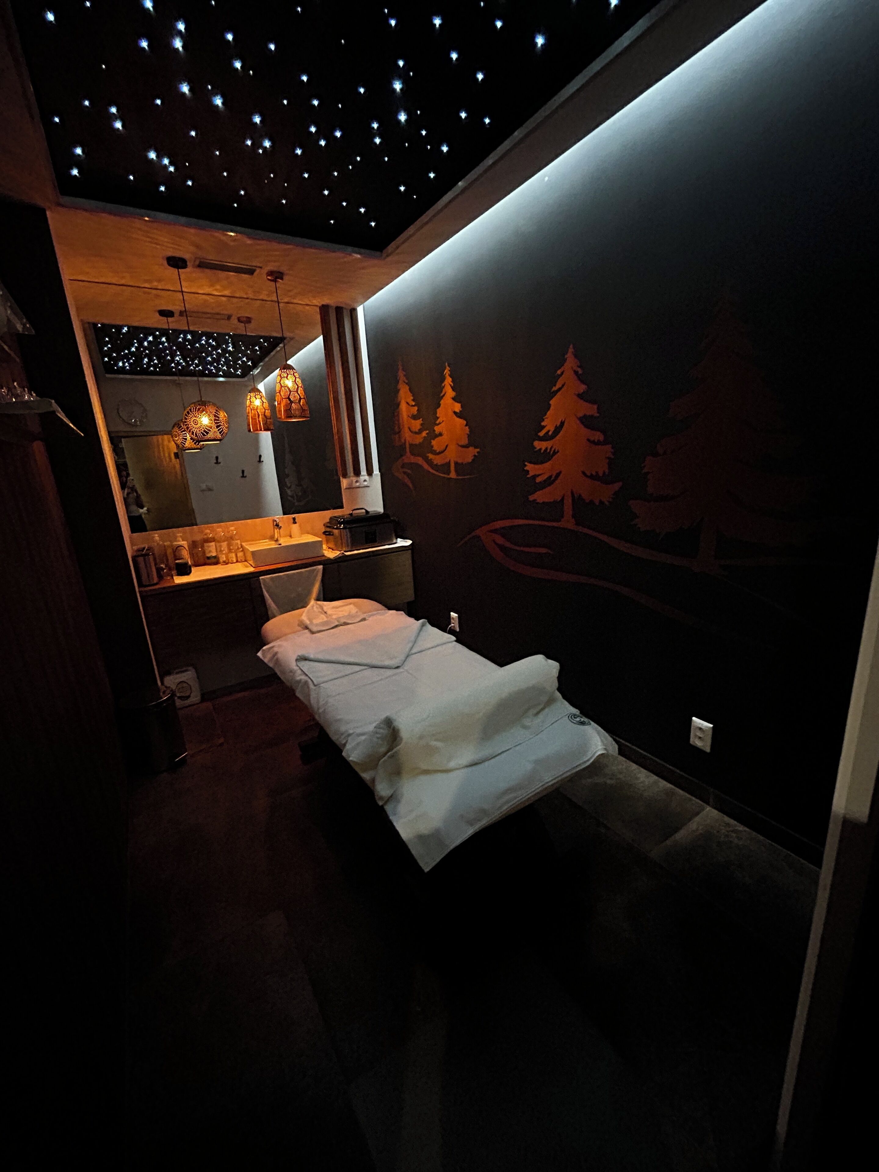 Una stanza scarsamente illuminata con un letto, uno specchio e un muro con sagome di alberi.