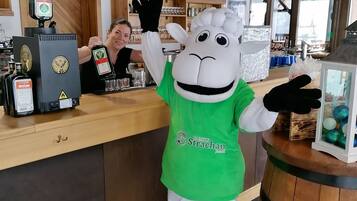 A mascot in a green apron at a counter with a Pepsi sign, a mattoni logo, and a family strachan jasná sign.