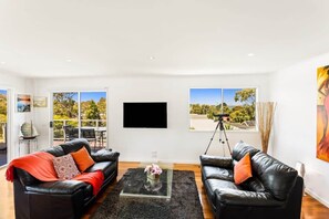 TV, fireplace, books