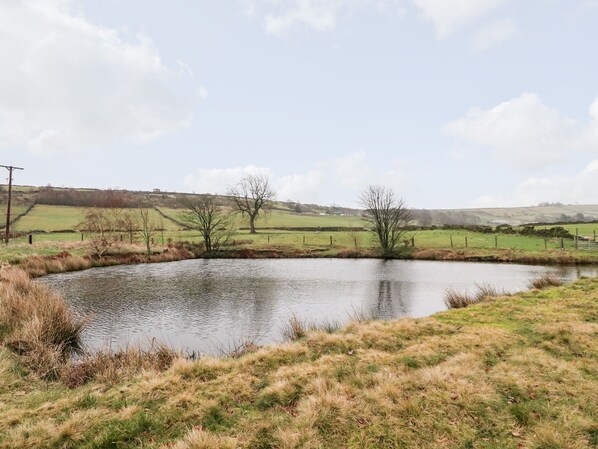 A rural landscape with a pond, grassy fields, and a few trees.