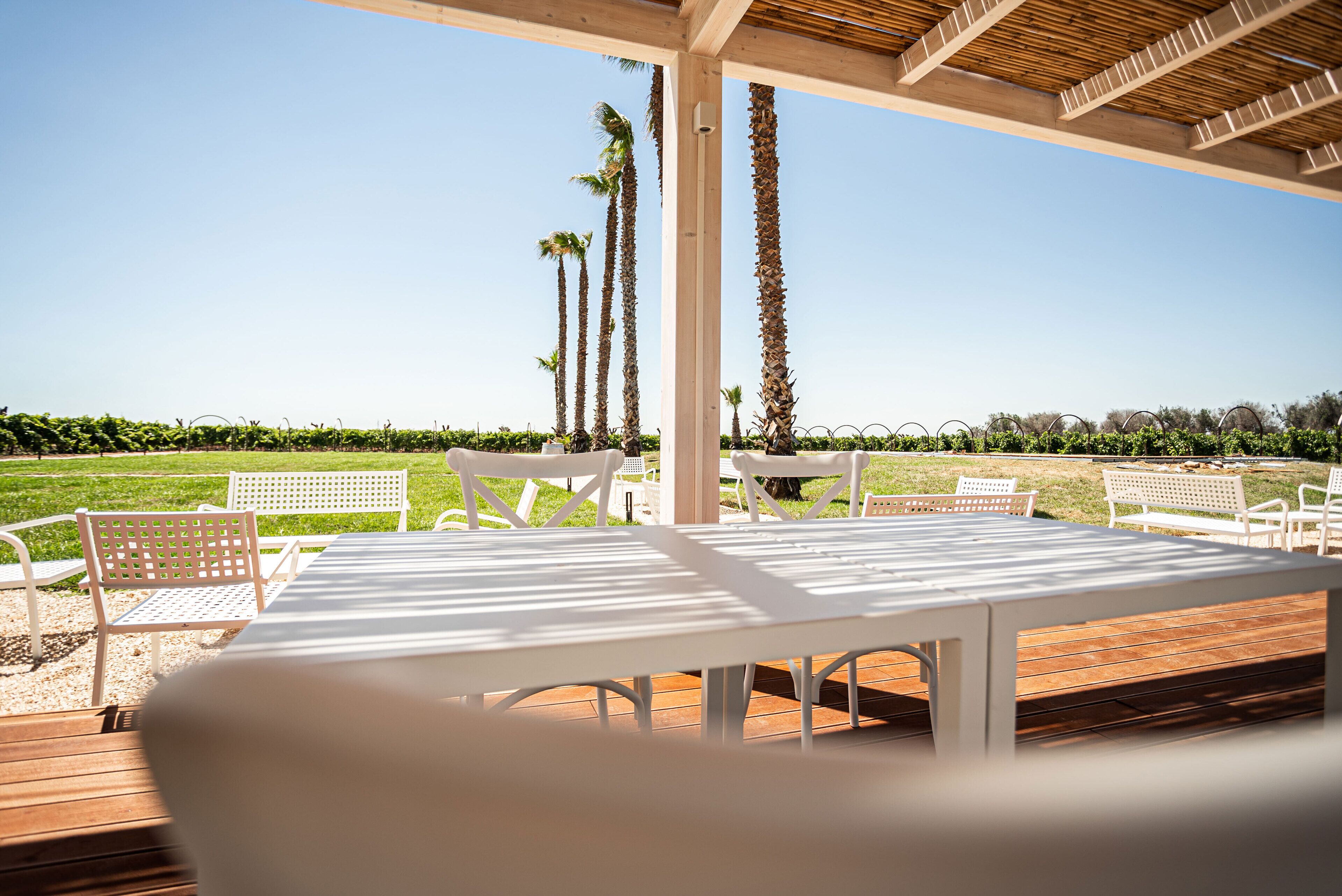 An outdoor patio with white tables and chairs, surrounded by palm trees and a view of a green field.
