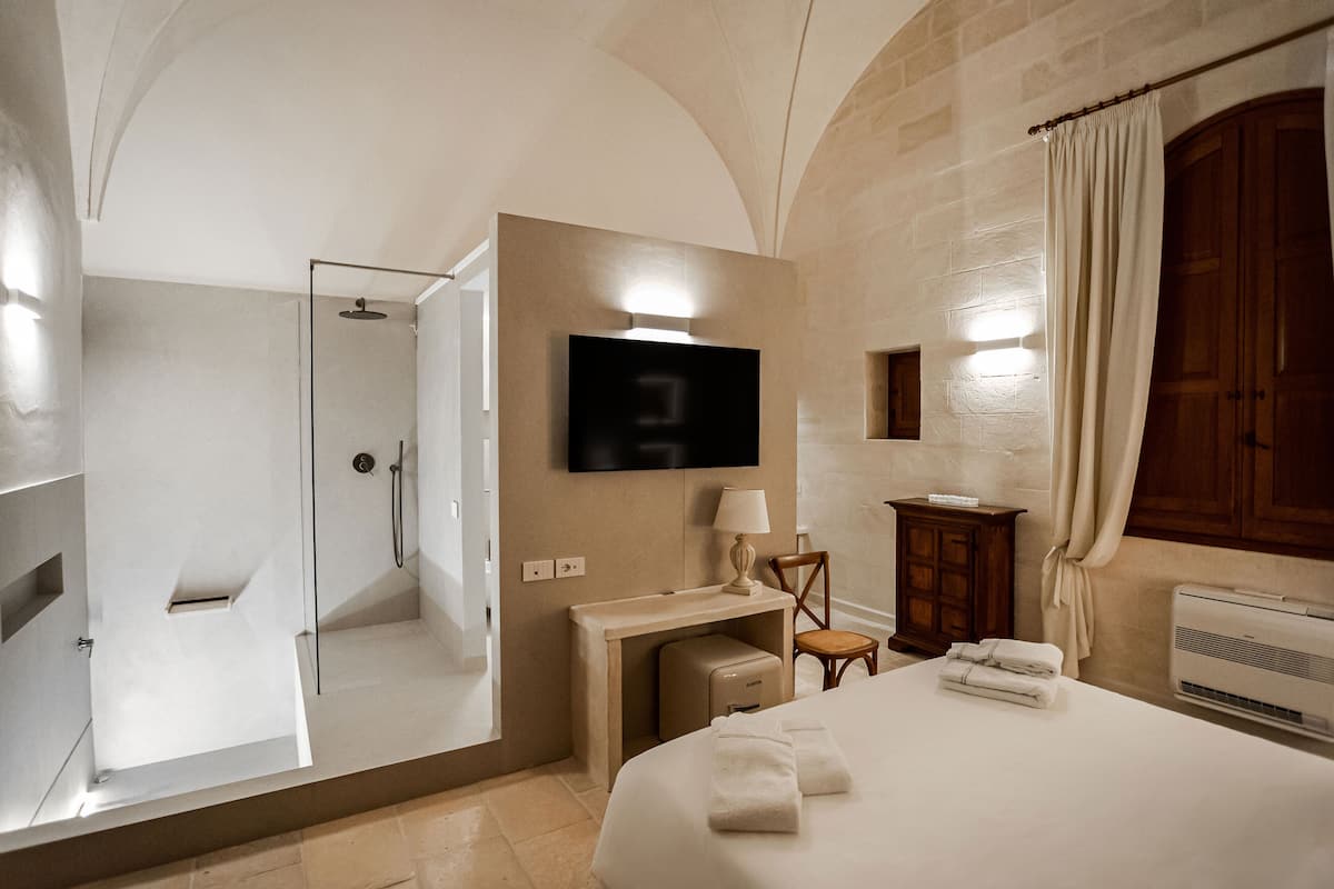 Una habitación de hotel con cama, escritorio, televisor, ducha y armario.