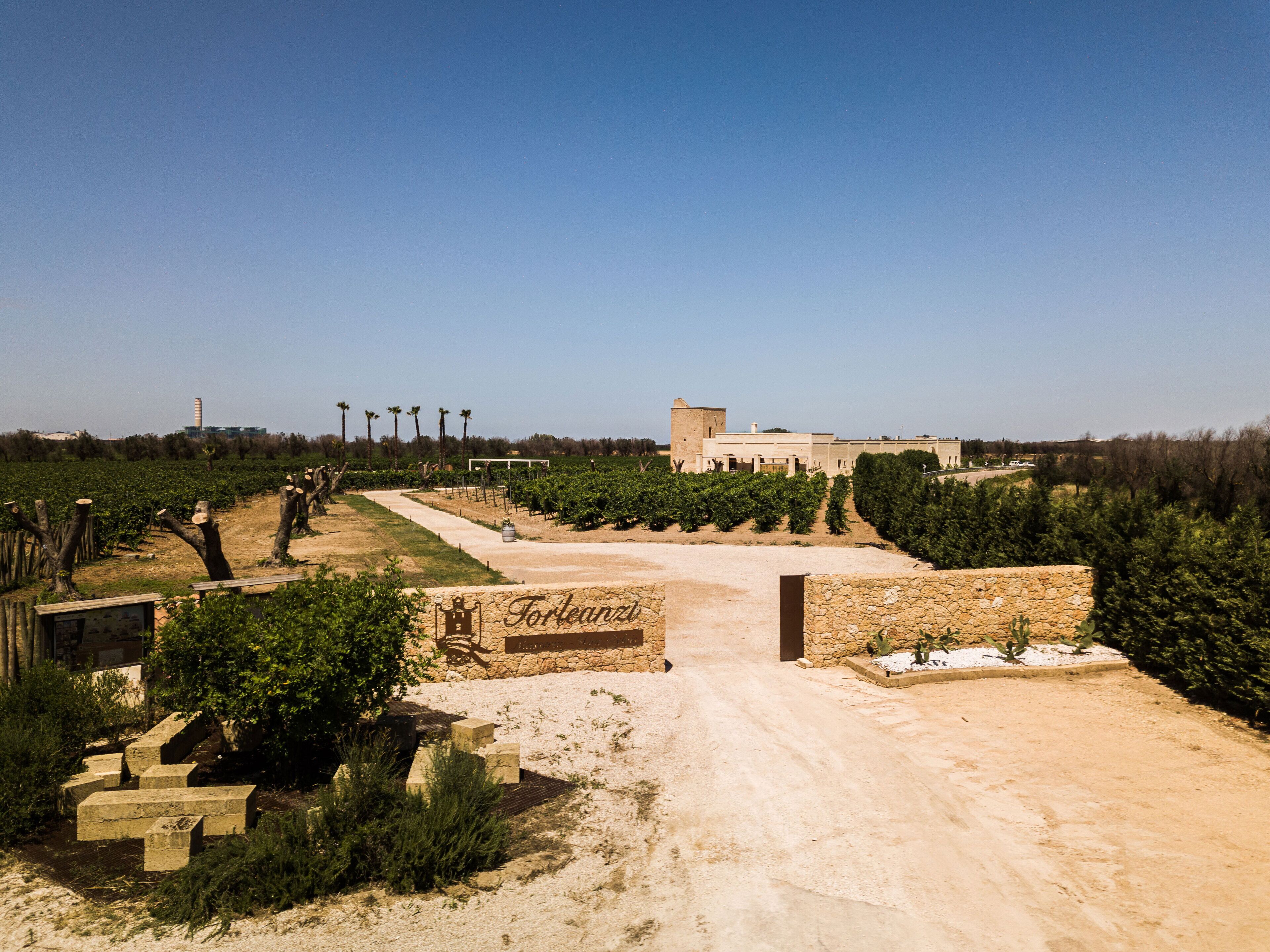 A vineyard with a stone pathway leading to a building labeled "Forleanza".