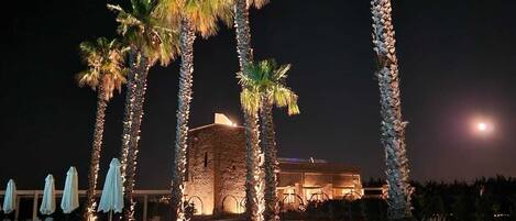 Escena nocturna de un resort con palmeras iluminadas, piscina y sillones de descanso.