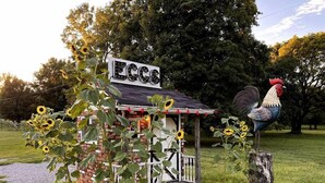 A small structure with a sign reading "EGGS" surrounded by sunflowers and a rooster statue. - Maples Farm Fresh Eggs (Nashville)