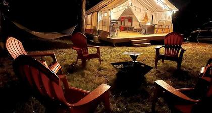 Maples Farm Fresh Eggs