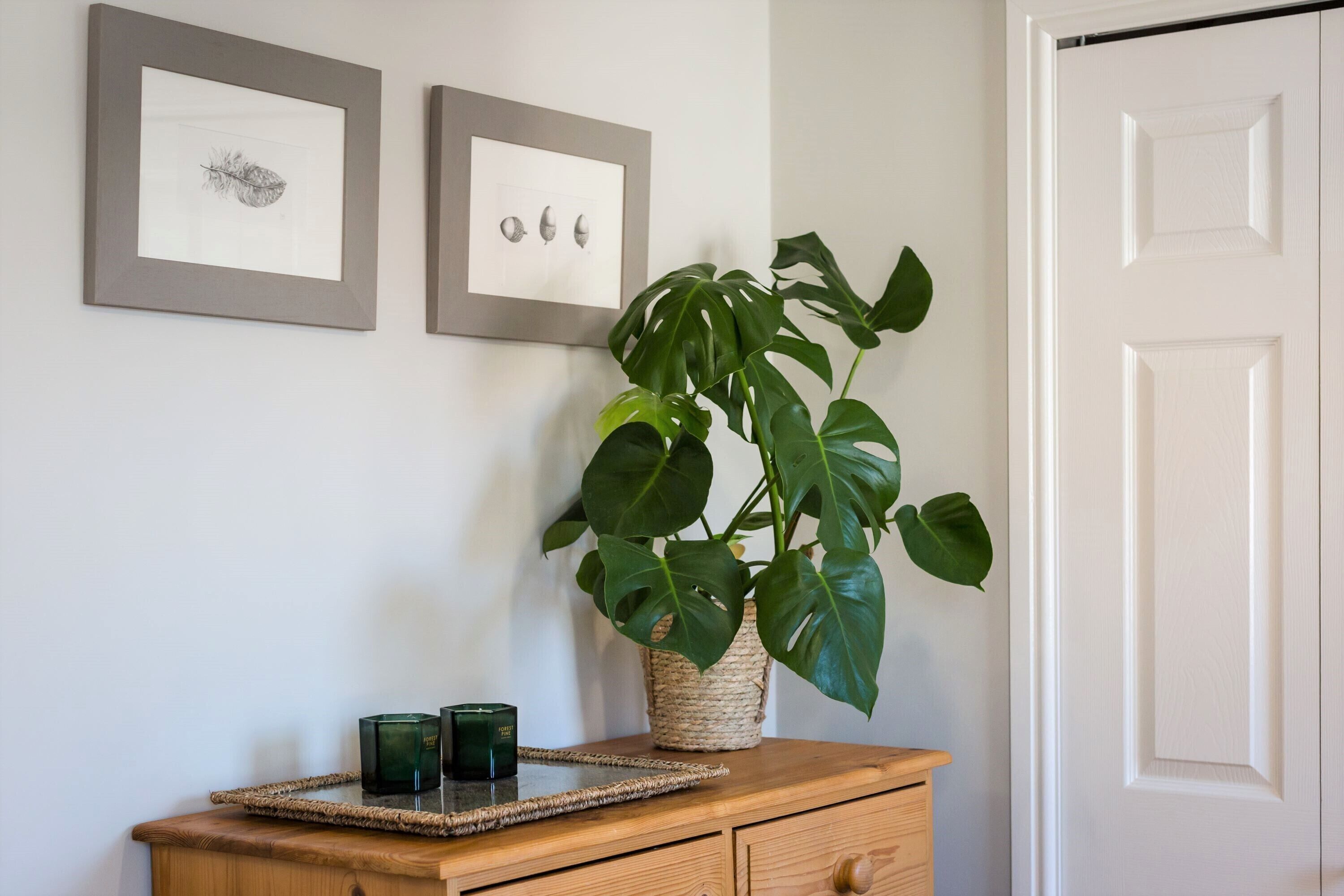 A wooden dresser with a woven tray holding two green candles, a large green plant in a woven basket, and two framed artworks on the wall.
